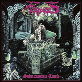 FESSUS · Subcutaneous Tomb | BLACK LP (Death Metal Vinyl) · Picture 1