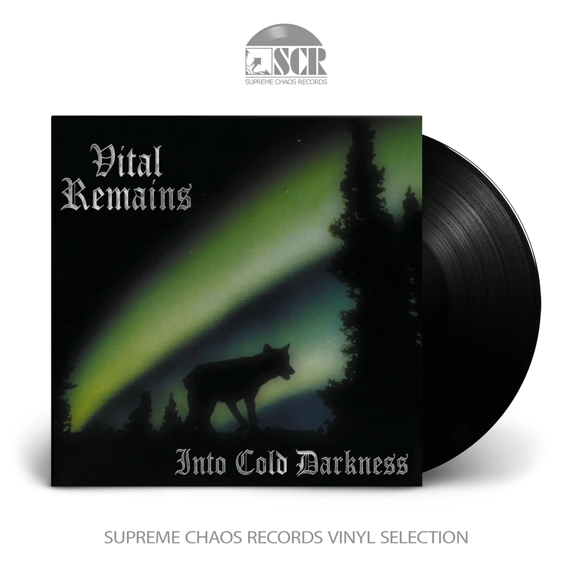 VITAL REMAINS · Into Cold Darkness | BLACK LP (Death Metal Vinyl)
