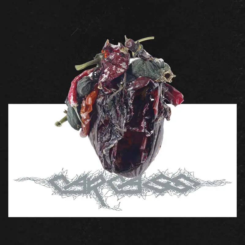 CARCASS · Torn Arteries (Deluxe Pop-Up) | RED LP (Death Metal Vinyl) · Picture 2
