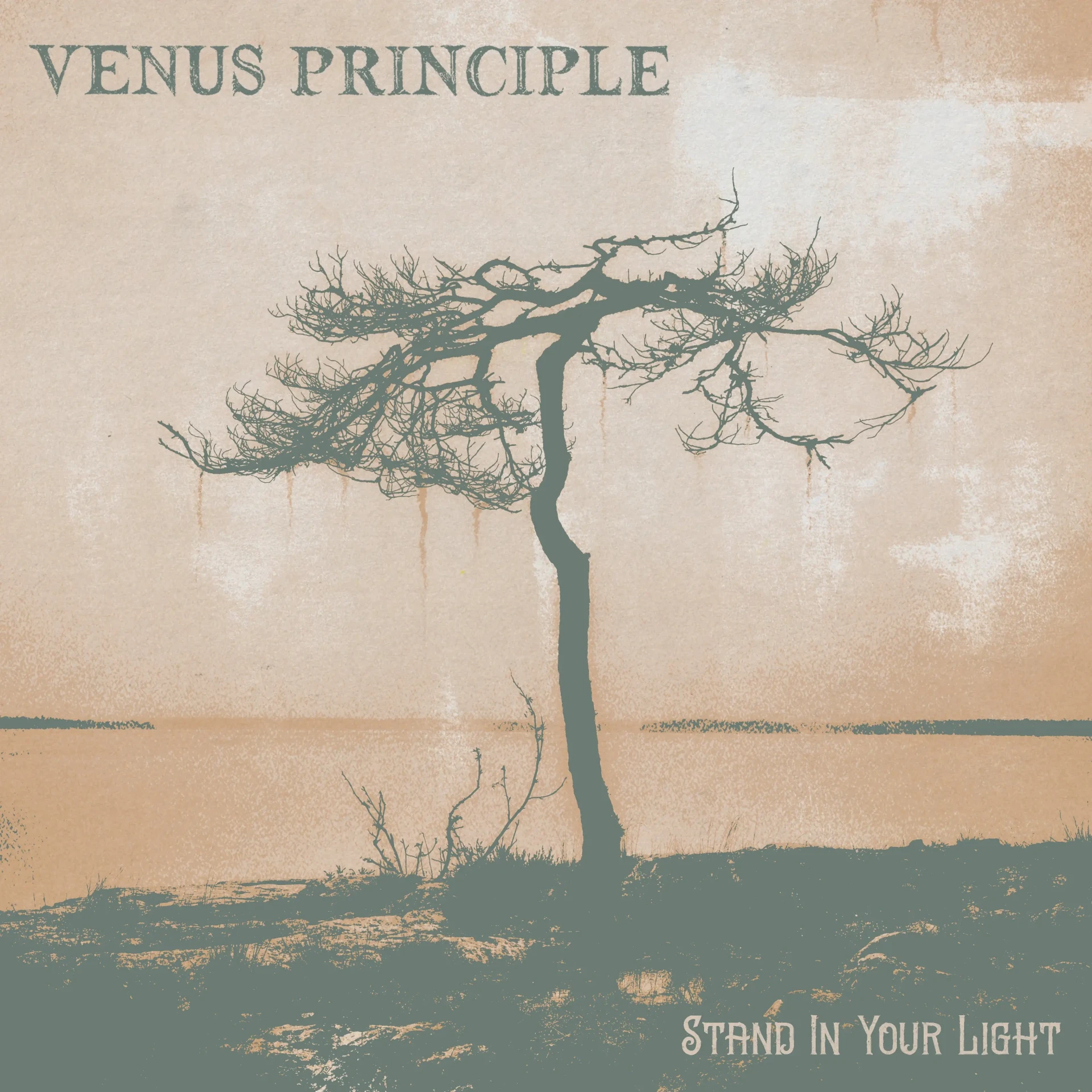 VENUS PRINCIPLE · Stand In Your Light | BLACK 2LP (Dark Rock Vinyl) · Picture 1