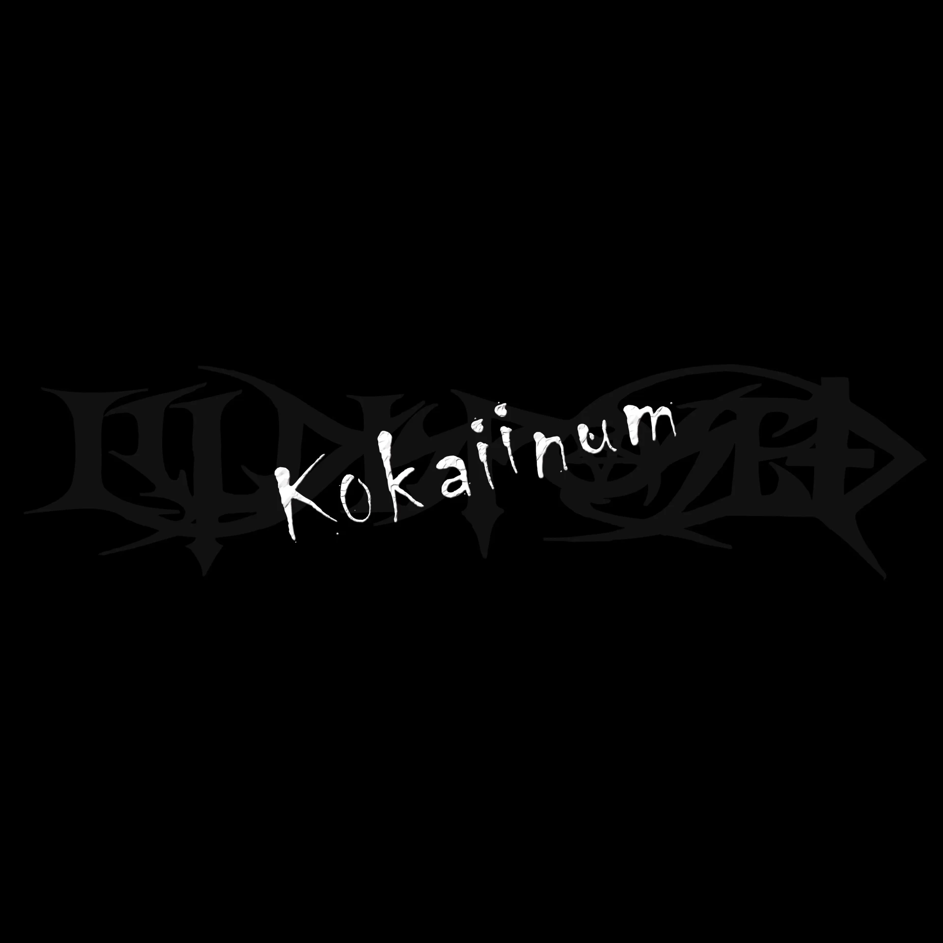 ILLDISPOSED · Kokaiinum | BLACK LP (Death Metal Vinyl) · Picture 1