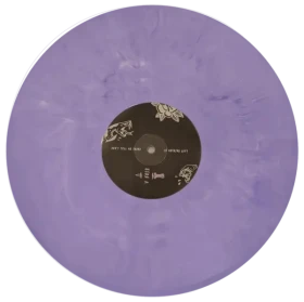 FOUR BLACK LUNGS · Don't Tell Me There Is Nothing Left | LILA SPLATTER VINYL (Punk Rock Vinyl) · Picture 2