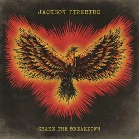JACKSON FIREBIRD · Shake The Breakdown | BLACK LP (Hard Rock Vinyl) · Picture 1