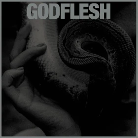 GODFLESH · Purge | BLACK LP (Sludge Metal Vinyl) · Picture 1
