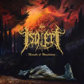ISOLERT · Wounds Of Desolation | BLACK LP (Black Metal Vinyl) · Picture 1