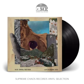DAVE MATTHEWS BAND · Walk Around The Moon | BLACK LP (Alternative Rock Vinyl)