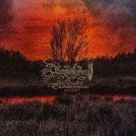 DÄMMERFARBEN · Des Herbstes Trauerhymnen MMXX | BLACK 2LP (Black Metal Vinyl) · Picture 2