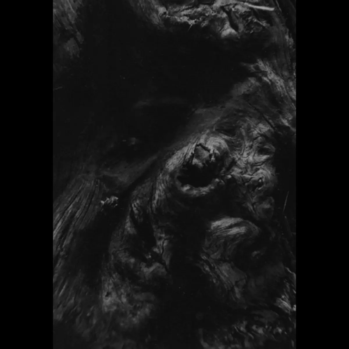 PAYSAGE D'HIVER · Steineiche | A5 DIGIBOOK CD (Black Metal/Ambient CDs)