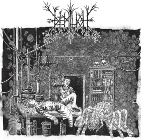 DEMILICH · Em9t2ness Of Van2s1ing / V34ish6ng 0f Emptiness | CLEAR/BLACK SMOKE 2LP (Death Metal Vinyl) · Picture 1