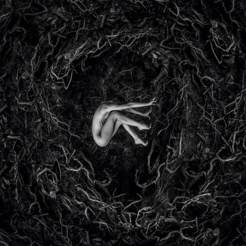 FVNERALS · Let The Earth Be Silent | GREY/BLACK LP (Doom Metal Vinyl) · Picture 1