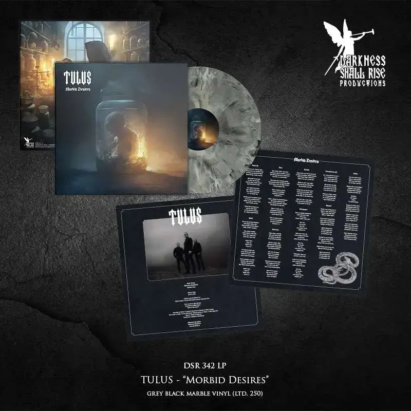 TULUS · Morbid Desires | GREY BLACK MARBLED LP (Black Metal Vinyl) · Picture 2