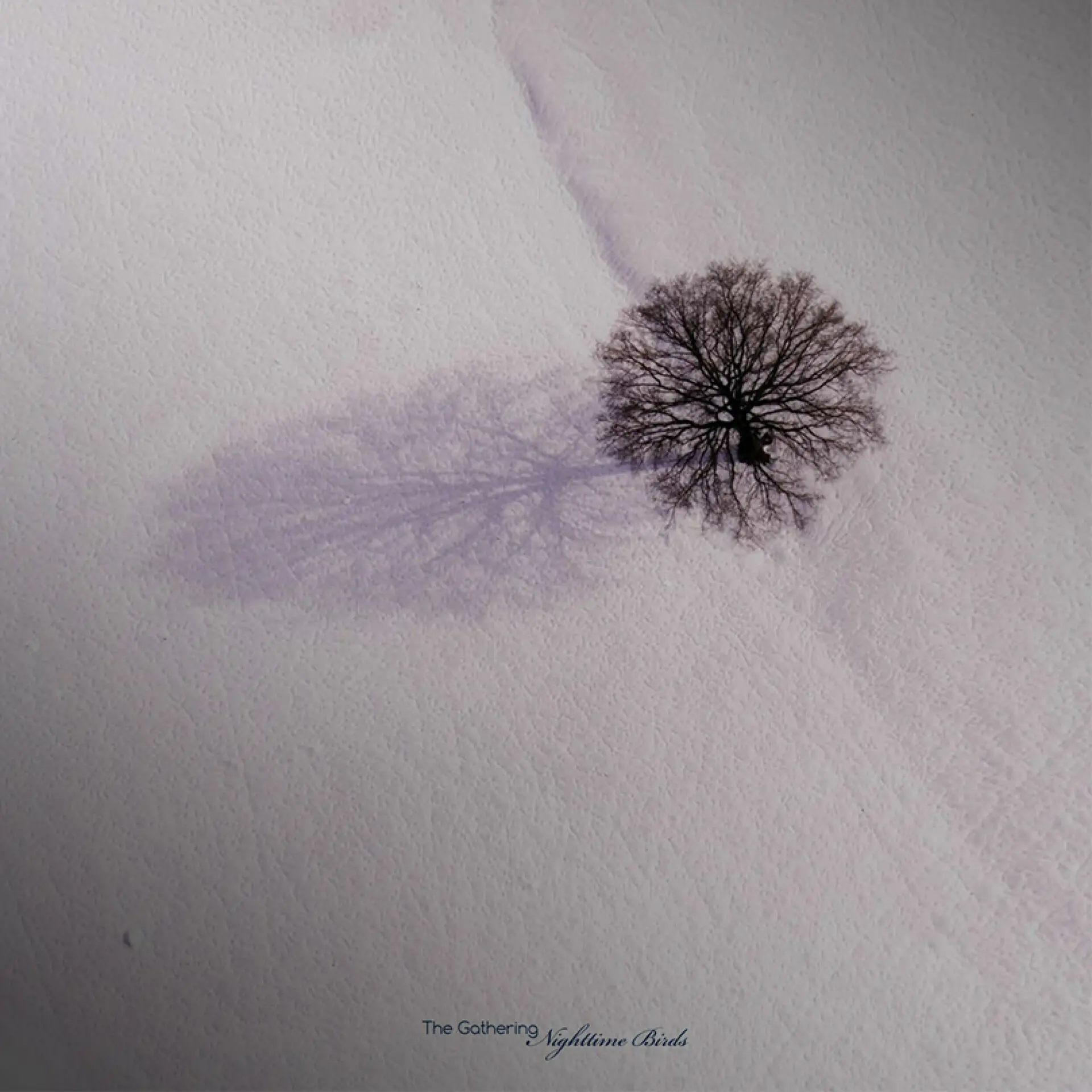 THE GATHERING - Nighttime Birds · BLACK LP (Progressive Metal Vinyl) · Picture 1