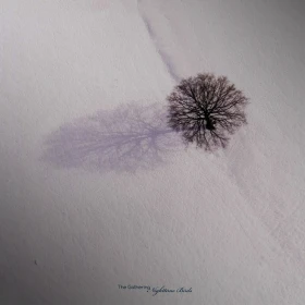 THE GATHERING · Nighttime Birds | BLACK LP (Progressive Metal Vinyl) · Picture 1