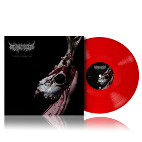 MENTAL CRUELTY - Echoes of a Forlorn Land [TRANSPERENT RED LP] (Death Metal Vinyl) · Picture 2