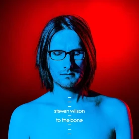 STEVEN WILSON · To The Bone | BLACK 2LP (Progressive Rock Vinyl) · Picture 1