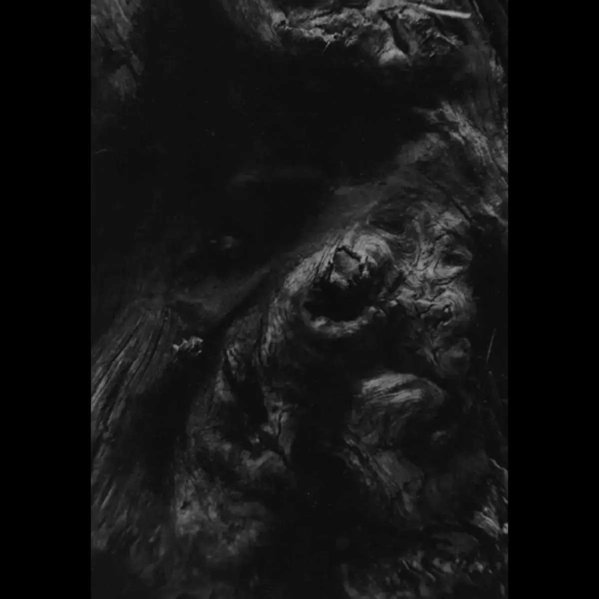PAYSAGE D'HIVER · Steineiche | A5 DIGIBOOK CD (Black Metal/Ambient CDs)