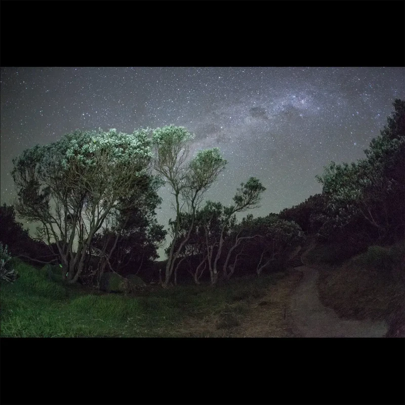 Esben And The Witch · Older Terrors | Digipak CD