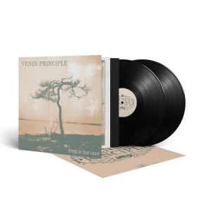 VENUS PRINCIPLE · Stand In Your Light | BLACK 2LP (Dark Rock Vinyl) · Picture 2