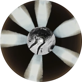CALIBAN · I Am Nemesis | CORNETTO COLORED LP (Metalcore Vinyl) · Picture 2