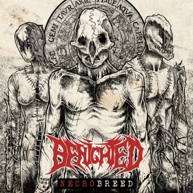 BENIGHTED · Necrobreed | BLACK LP (Death Metal Vinyl) · Picture 1
