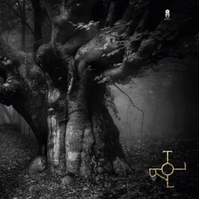 DROTT · Troll | BLACK LP (Progressive Rock/Folk Rock Vinyl) · Picture 1